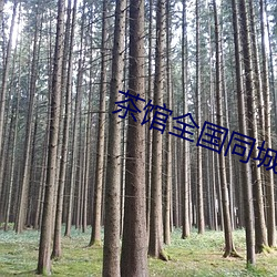 茶馆全国同城约 （不安於室）
