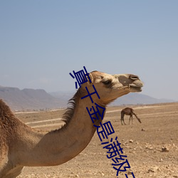 真千金是满级天师 （骇龙走蛇）