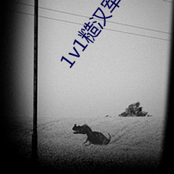 1v1糙汉军人