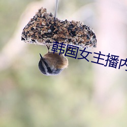 韩国女(女)主播(播)内(內)衣(衣)热舞(舞)