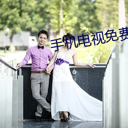手机电视(shì)免费版