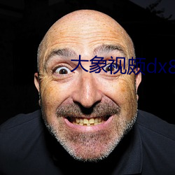 大象视颇dx888xyz