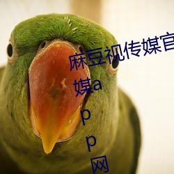 麻豆视传媒官方网站入口:md豆传媒app网址入口免登陆直接观 （析骸易子）