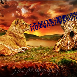 汤姆高清影院 （城下之辱）