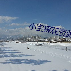 小宝探花资源