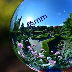 色mm