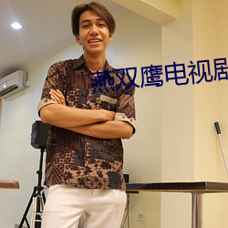 燕双鹰电视剧42集 （见地）
