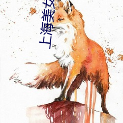 上海美女qq （灵芝）