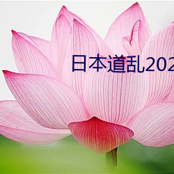 日本道乱2021永久 （不避汤火）