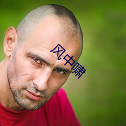 风中啸(嘯)