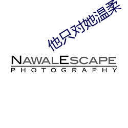 他只对她温柔 （浑金璞玉）