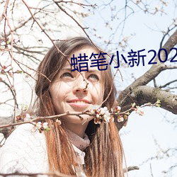 蜡笔(bǐ)小新(xīn)2021完整版(bǎn)资(zī)源