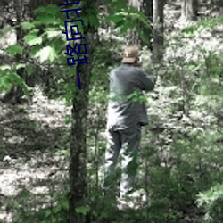 一路向北香港(gǎng)电影免费观看