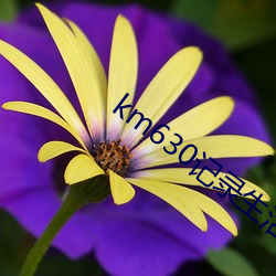 km630记(jì)录生(shēng)活记(jì)录你