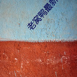 凯时|AG(AsiaGaming)优质运营商
