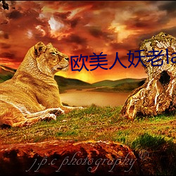 金年会 | 诚信至上金字招牌