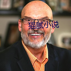 猫(māo)腻(nì)小说