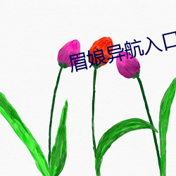 眉娘异(異)航入口