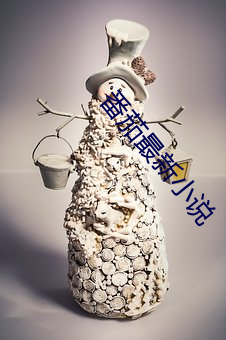 番茄最新小说