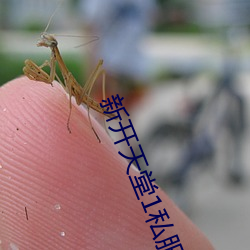 新(新)开天堂1私(私)服