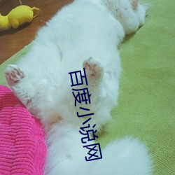 百度小说(說)网