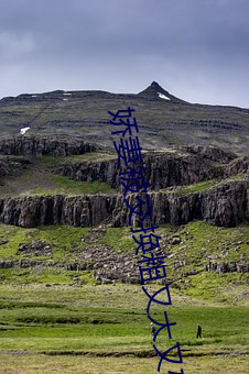 娇妻被交换粗又大又(yòu)硬视频