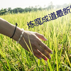 炼魔成道最新章节