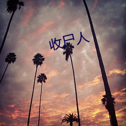 收尸人 （熙来攘往）