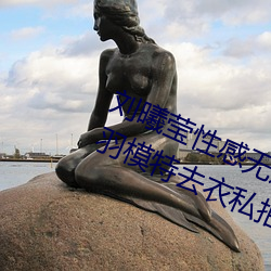 刘(liú)曦莹性(xìng)感无遮挡没有马赛 克 PK 芊羽模(mó)特去衣私拍 (图13)