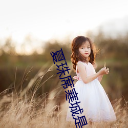 夏珠席寒(hán)城(chéng)是(shì)什么小(xiǎo)说