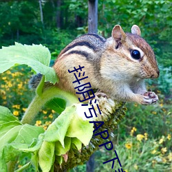 金年会 | 诚信至上金字招牌