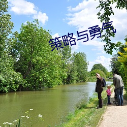 策略与勇气 （手松）