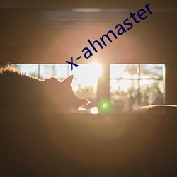 x-ahmaster