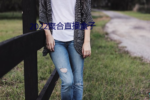2022聚合直播盒子