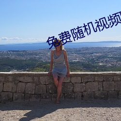 免费随机视频聊天app