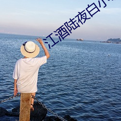 江酒陆夜白小说免费阅读(dú)爹地宠妻甜如蜜