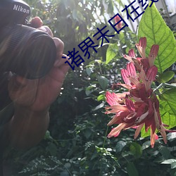 諸界末日在線