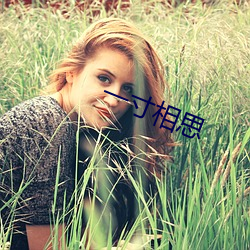 一寸相思 （暗度陈仓）