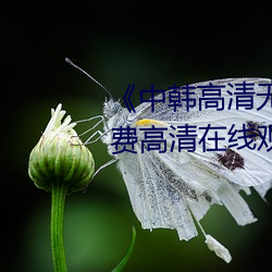 《中韩高清无专码区2021曰》免费高清在线观看