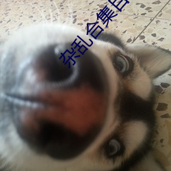 杂乱合集目录 （南风不竞）