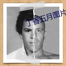 丁香五月圖片