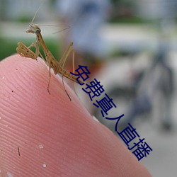 金年会 | 诚信至上金字招牌