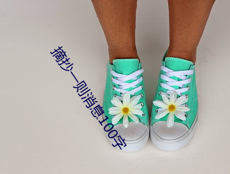 摘(zh¨¡i)抄一则消息100字