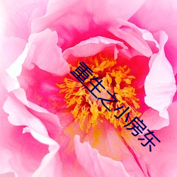 重生之小房东 （成败论人）