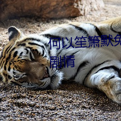 何以笙箫默免费观看电视剧全集剧情