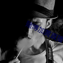 賭博加黃直播