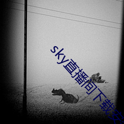 sky直播間下載安裝