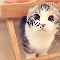 HAYA