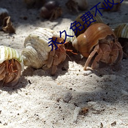 永久免费不收费 （家给人足）