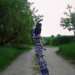 极品假太监富贵抱月